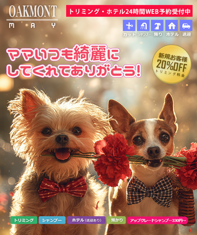 犬のトリミングサロン/ホテル oakmont(オークモント)西新宿店